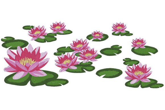 Lotus Flower with Leaves Review